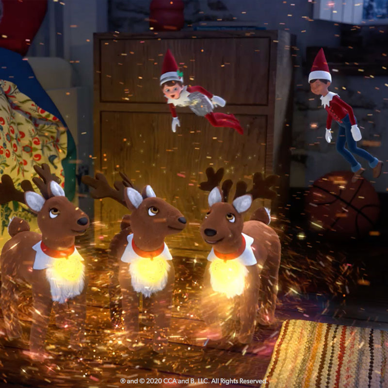 Elf Pets: Santa's Reindeer Rescue DVD: Reindeer and Scout Elf Still