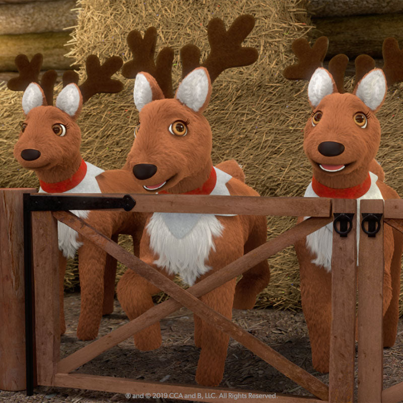 Elf Pets Tri-Pack DVD: Reindeer Special Still