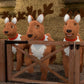 Elf Pets Tri-Pack BluRay/DVD: Reindeer Special Still