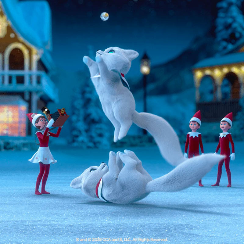 Elf Pets Tri-Pack BluRay/DVD: Arctic Fox Special Still